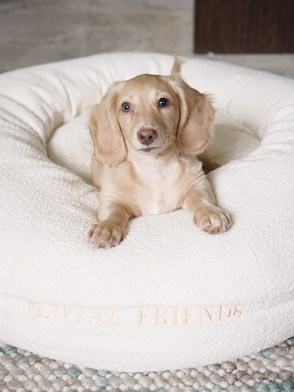 Cream Bouclé Bed