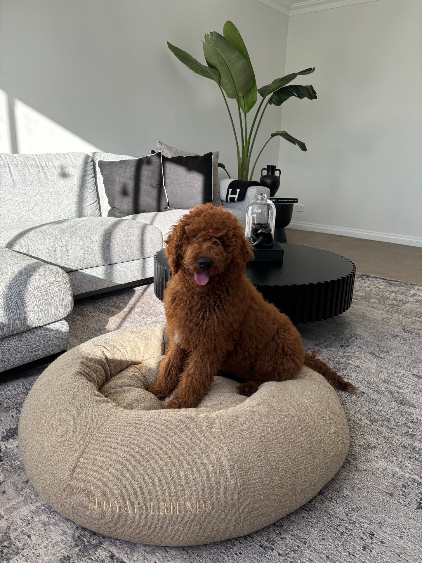 Beige Bouclé Bed