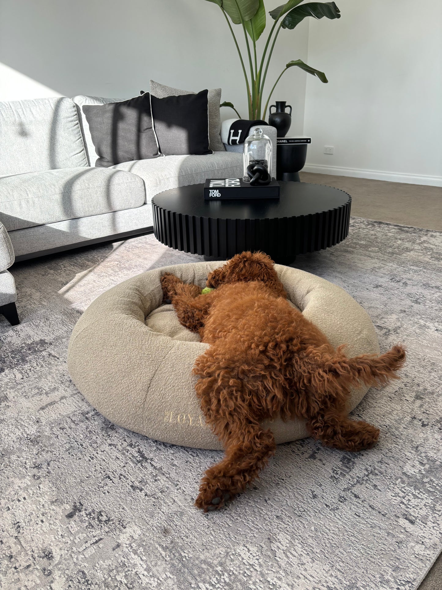 Beige Bouclé Bed