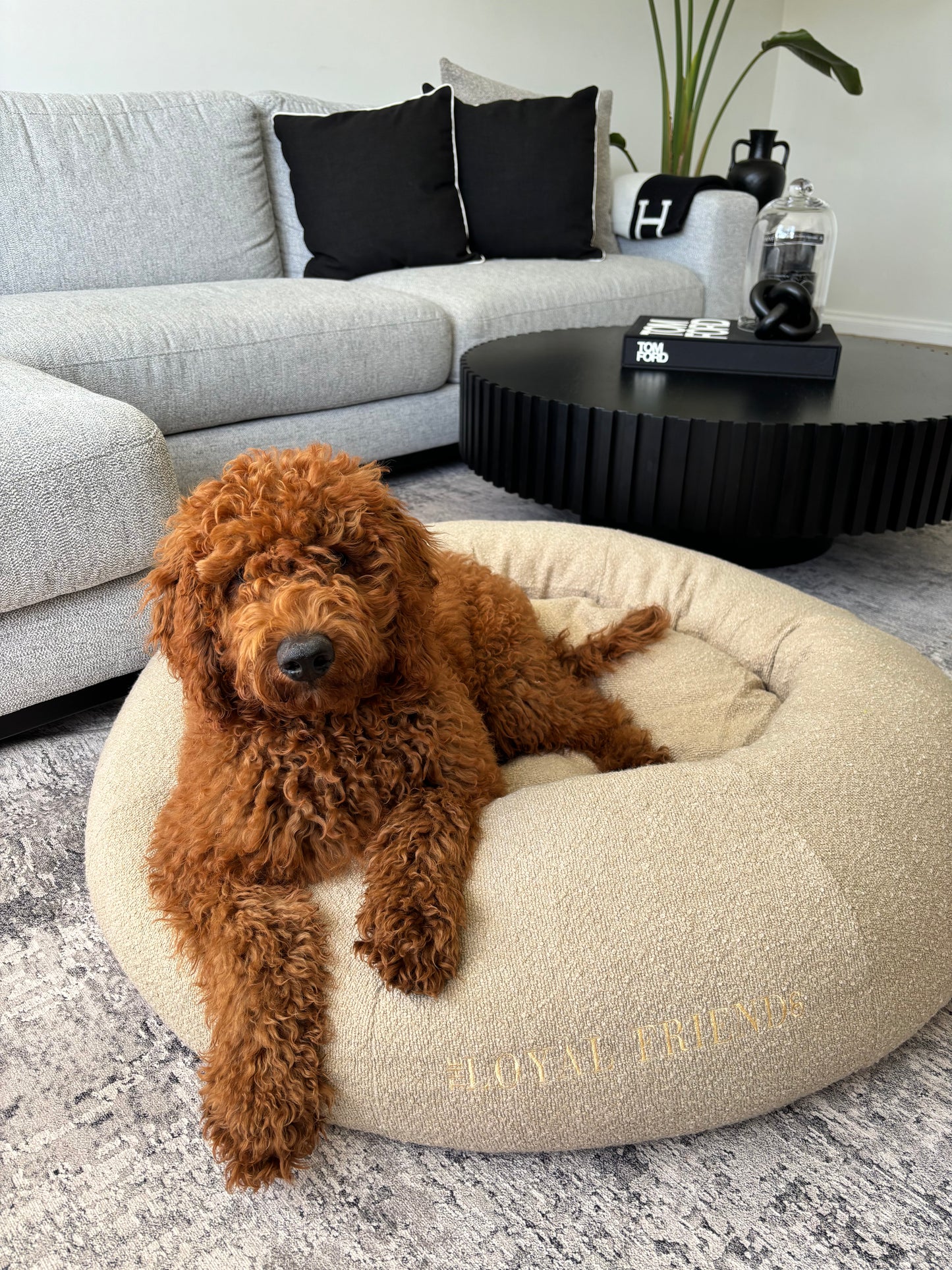 Beige Bouclé Bed