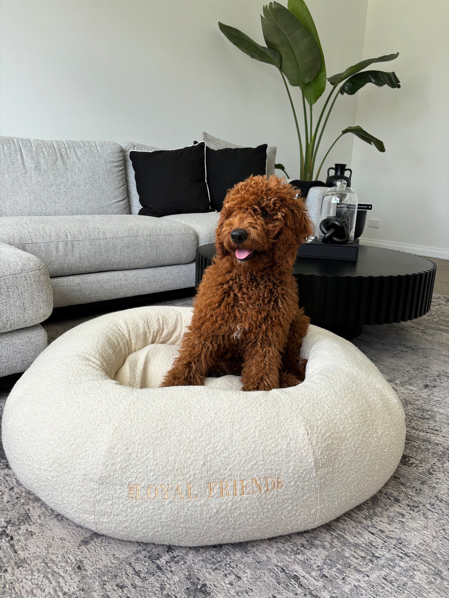 Cream Bouclé Bed