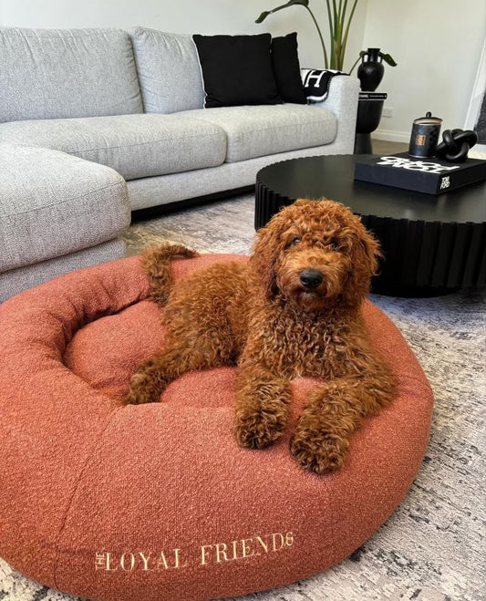 Cinnamon Bouclé Bed