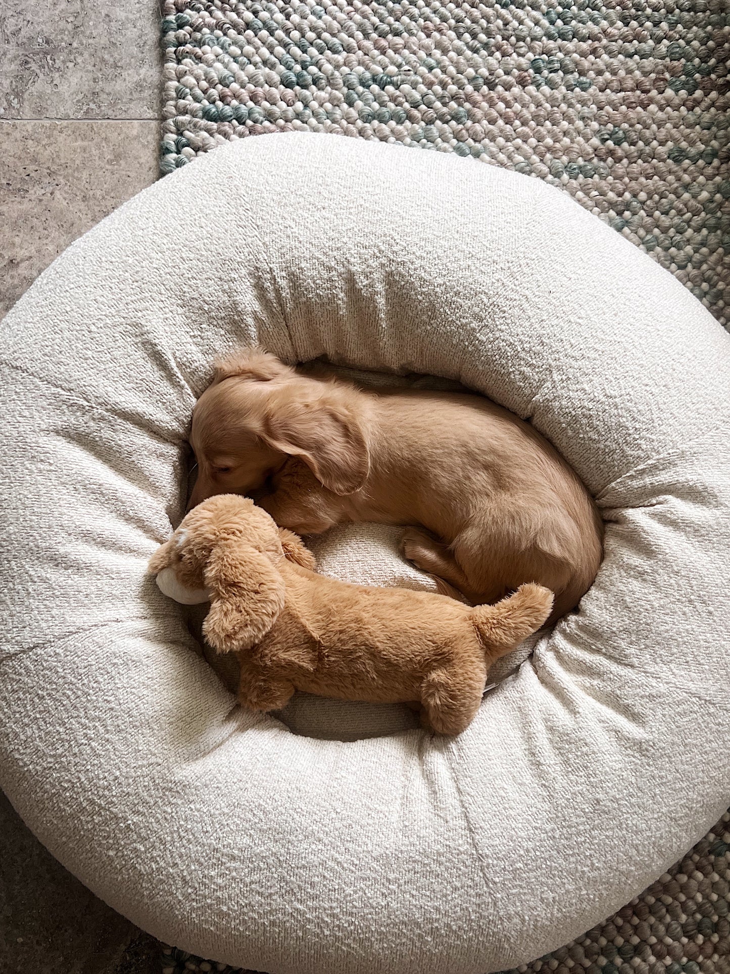 Cream Bouclé Bed